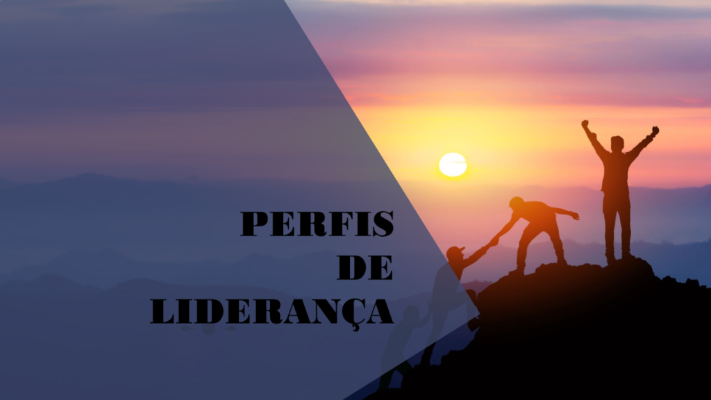 Perfis de Liderança